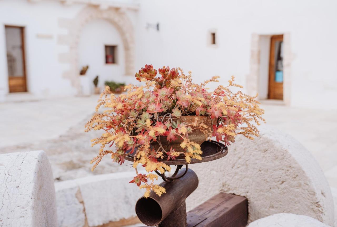 Masseria Casamassima Agriturismo 오스투니 외부 사진