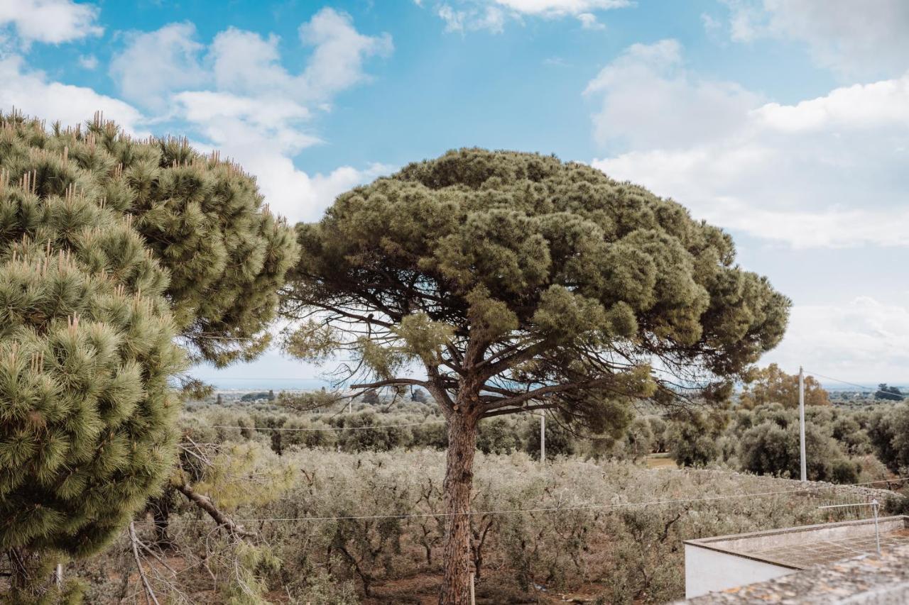 Masseria Casamassima Agriturismo 오스투니 외부 사진