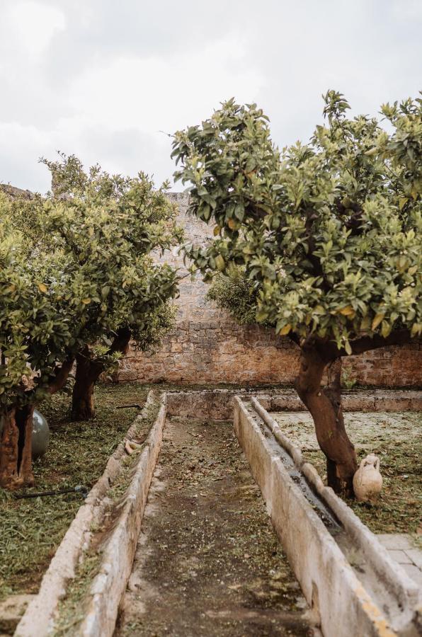 Masseria Casamassima Agriturismo 오스투니 외부 사진