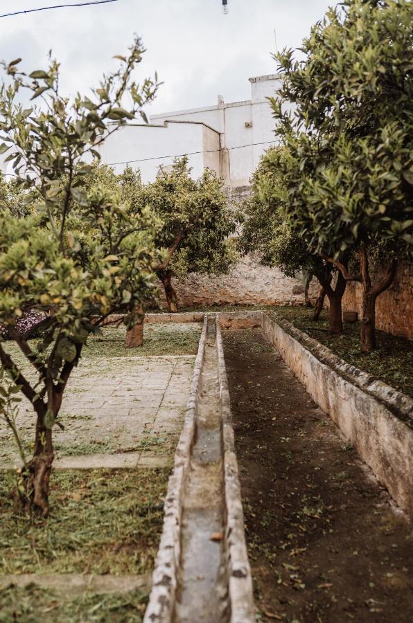 Masseria Casamassima Agriturismo 오스투니 외부 사진