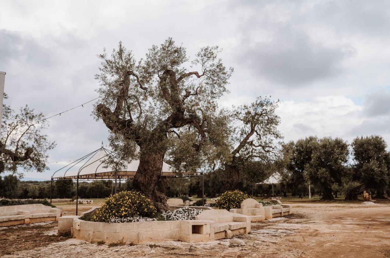 Masseria Casamassima Agriturismo 오스투니 외부 사진