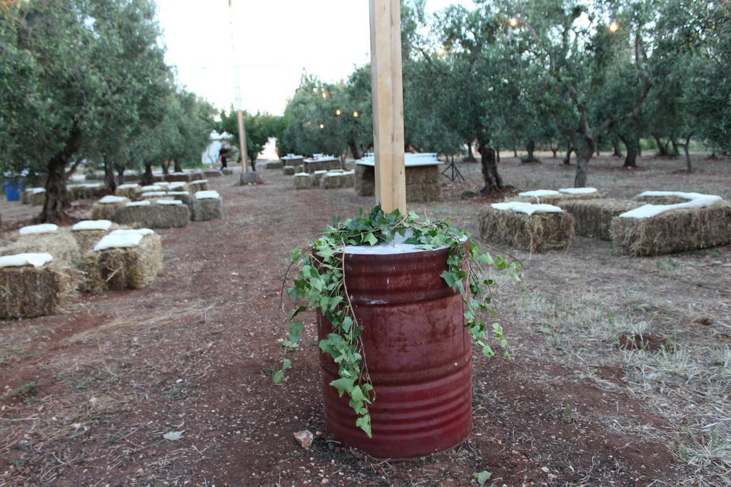 Masseria Casamassima Agriturismo 오스투니 외부 사진