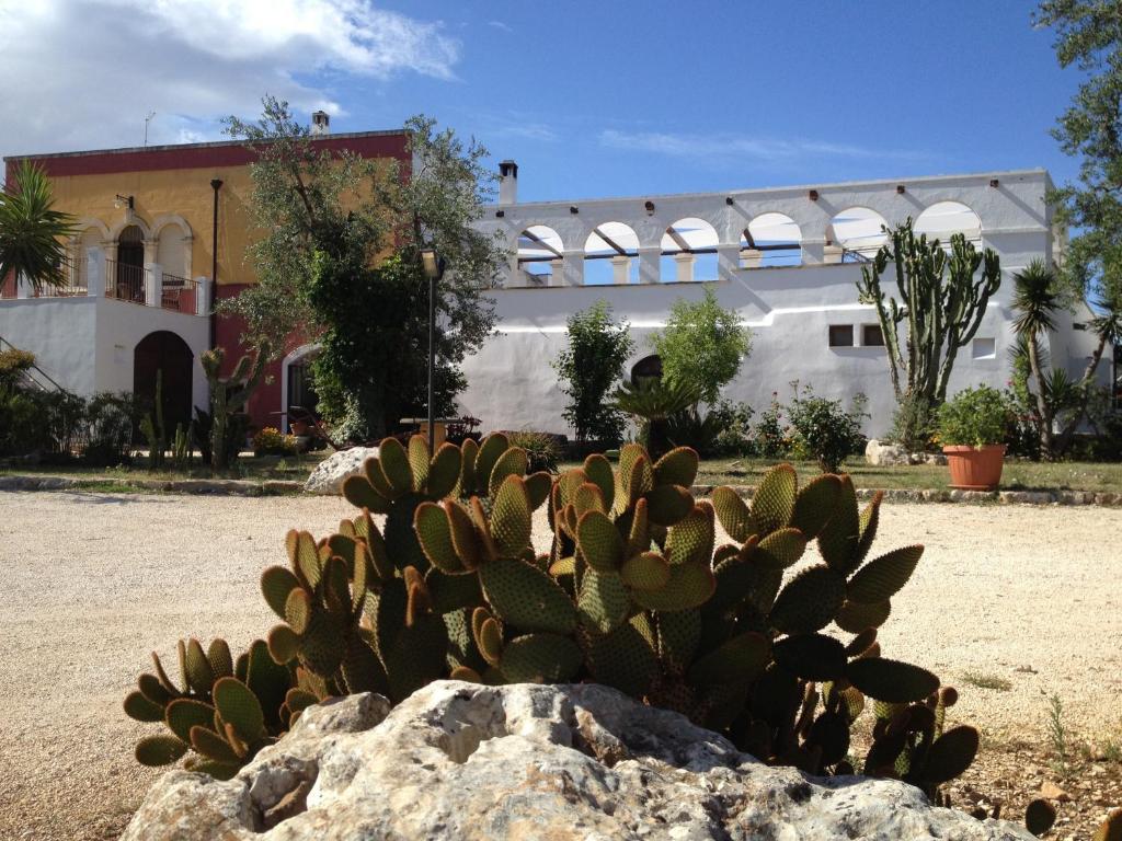 Masseria Casamassima Agriturismo 오스투니 외부 사진