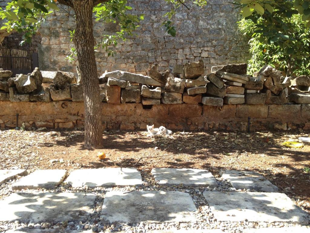 오스투니 Masseria Casamassima Agriturismo 빌라 외부 사진